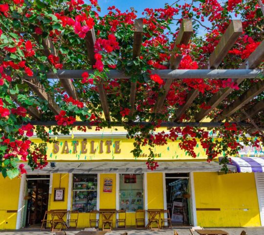 Satélite Livraria Cafeteria Vinhos